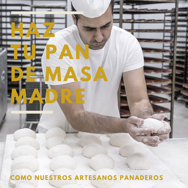 Haz tu pan artesano gourmet con masa madre y sorprende a todos